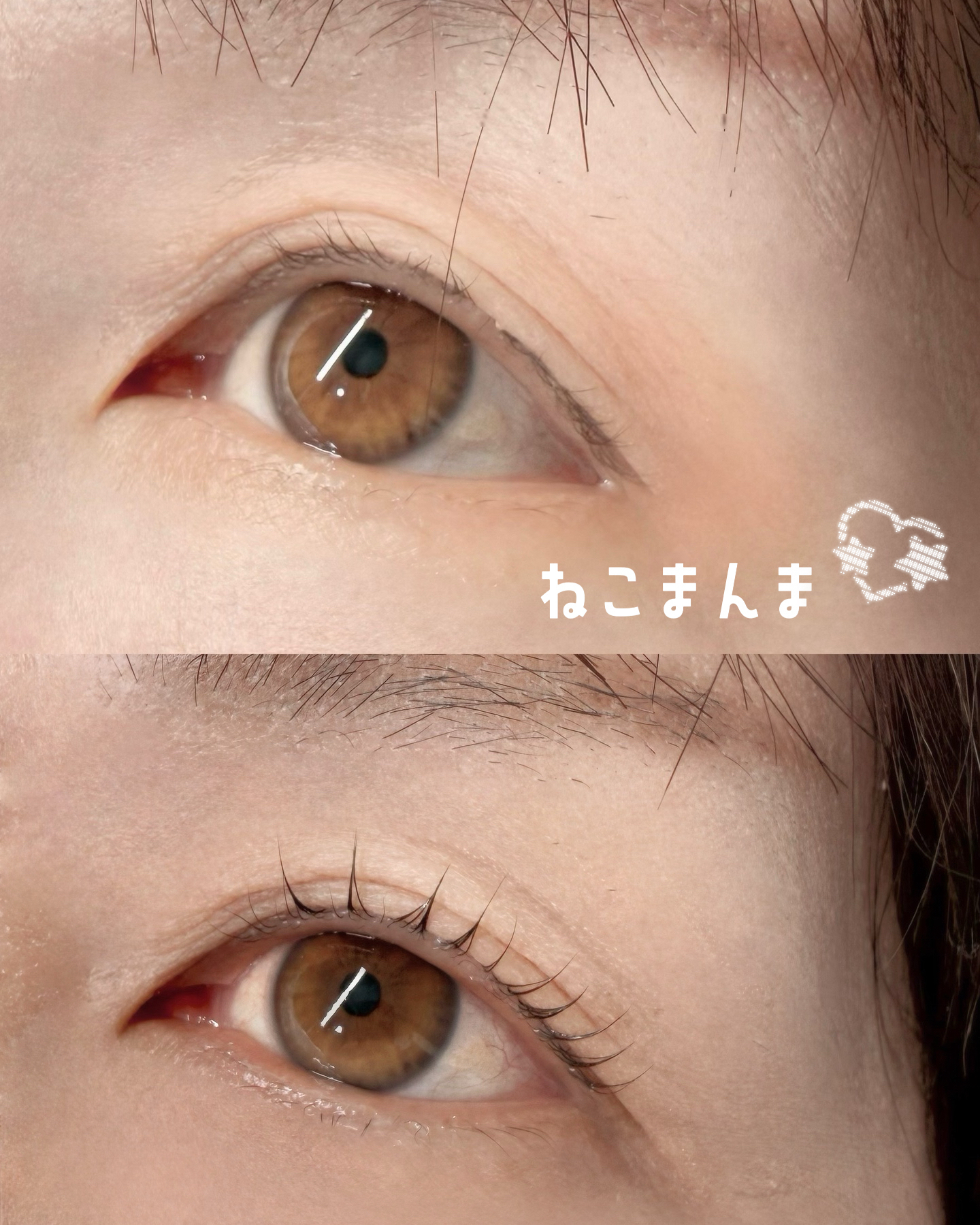 asami_nua