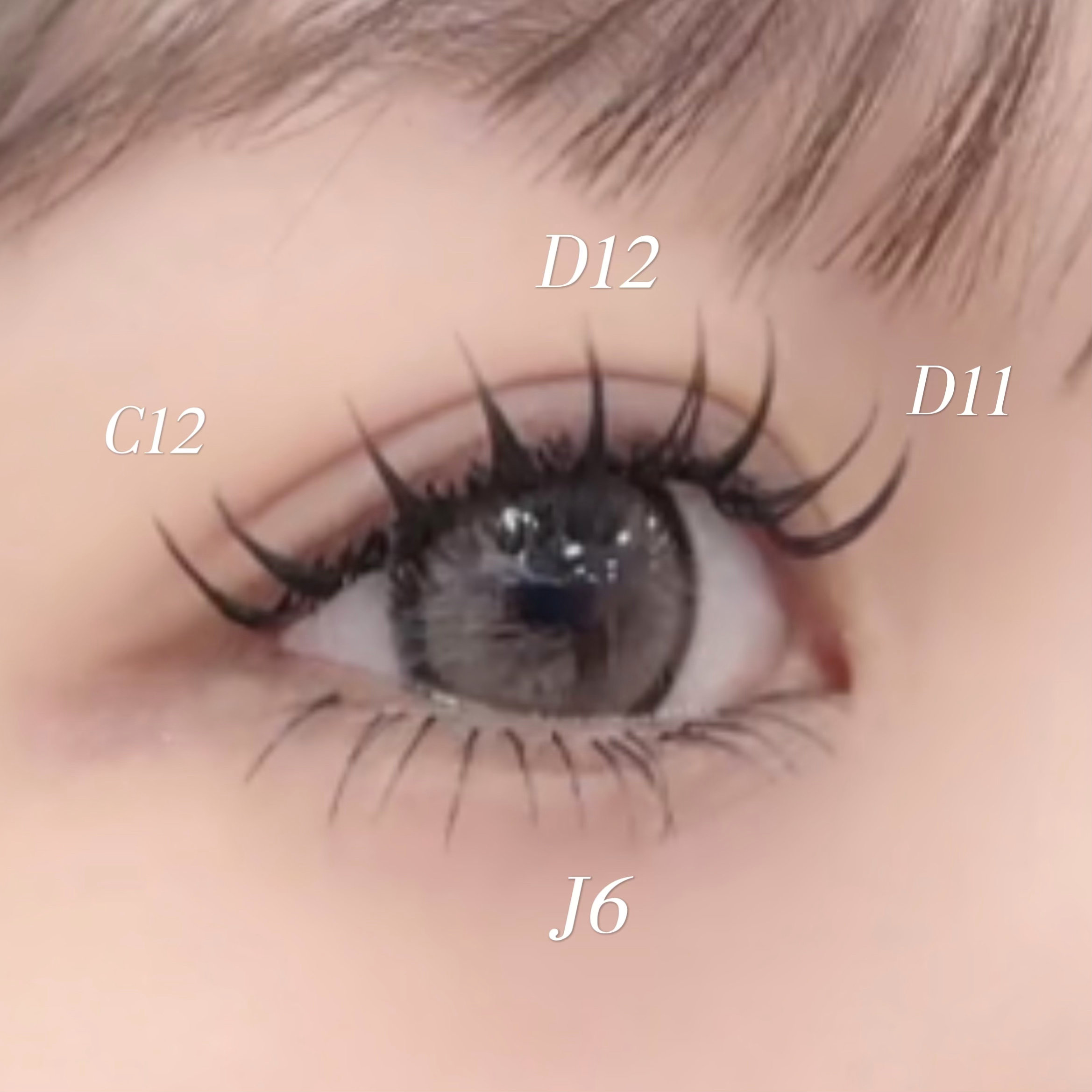 anne_haruka