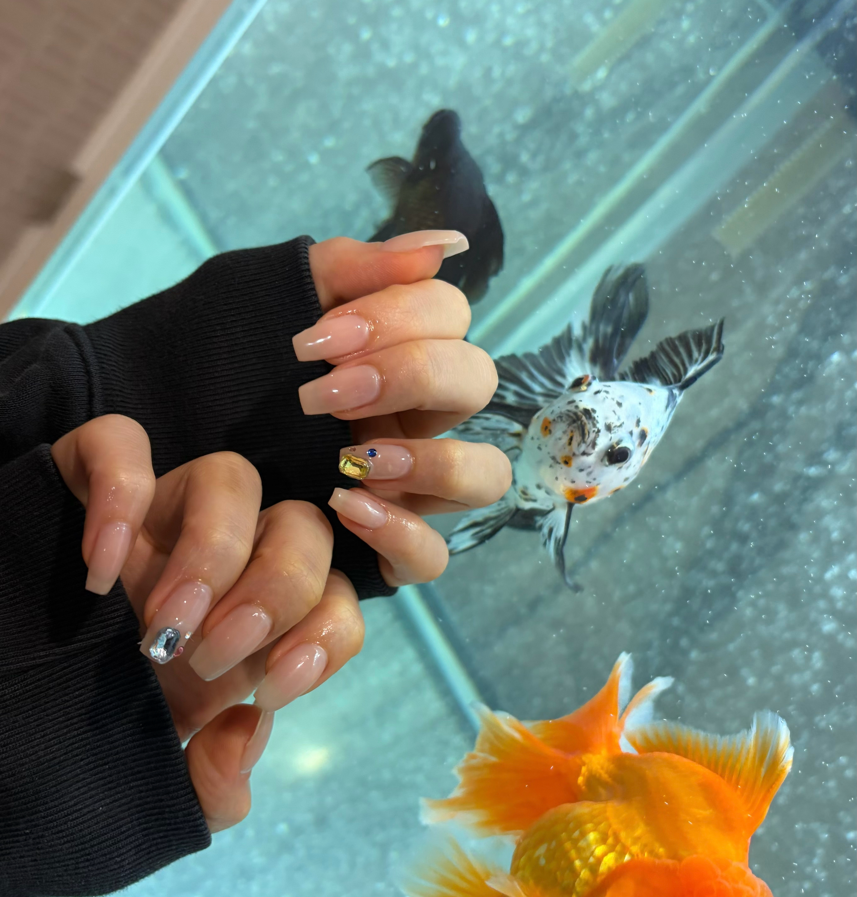 chili_nail_751