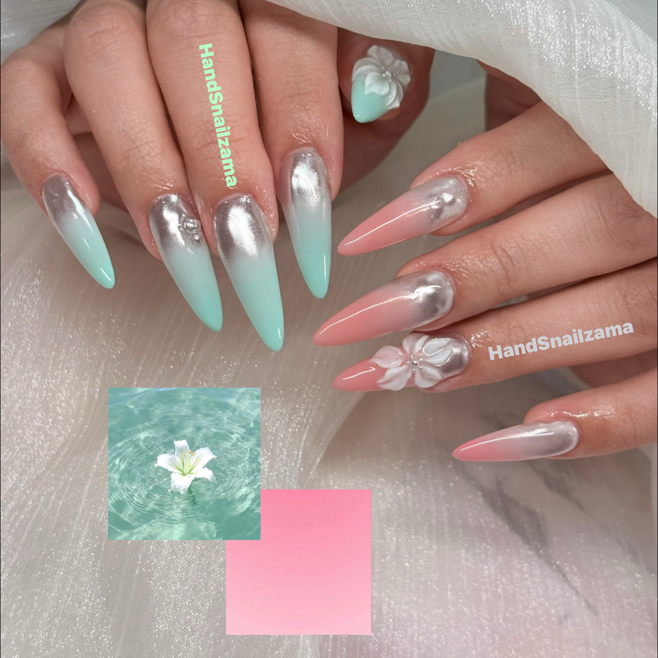 HandSnailZama