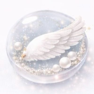 チップ🧲マグネット