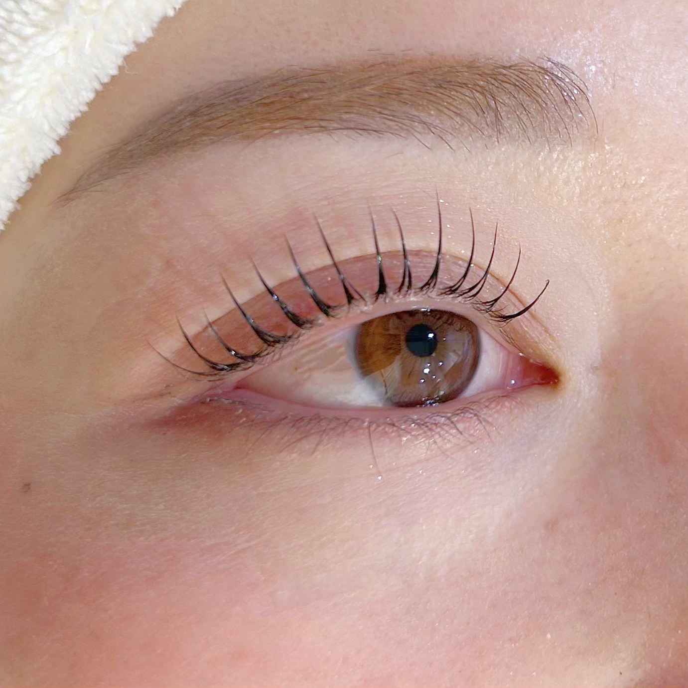 eye_uta