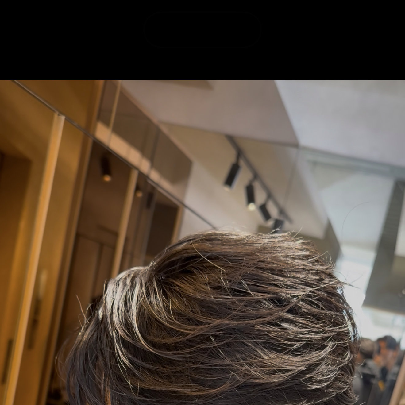 lucey_ari