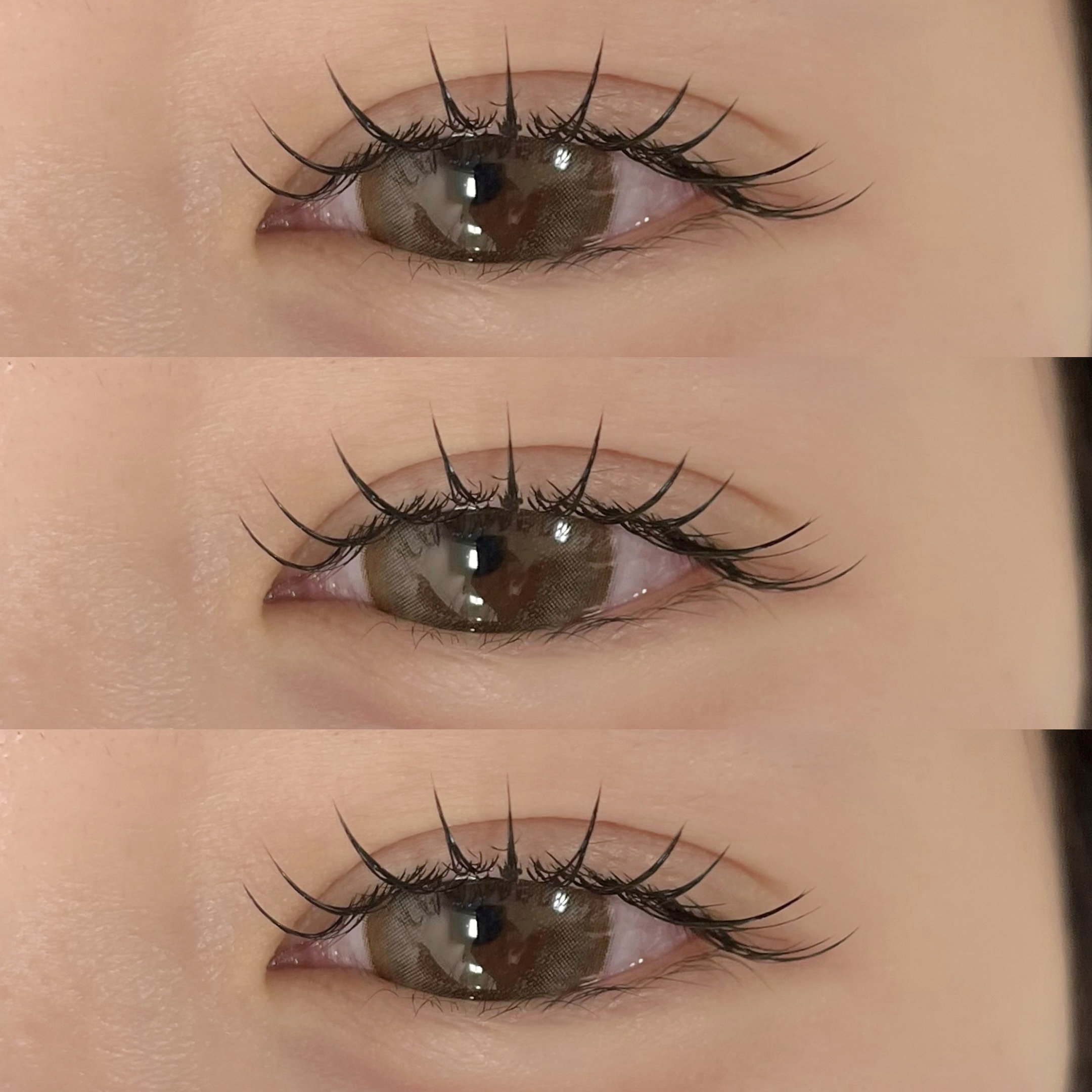 himawari_trueye