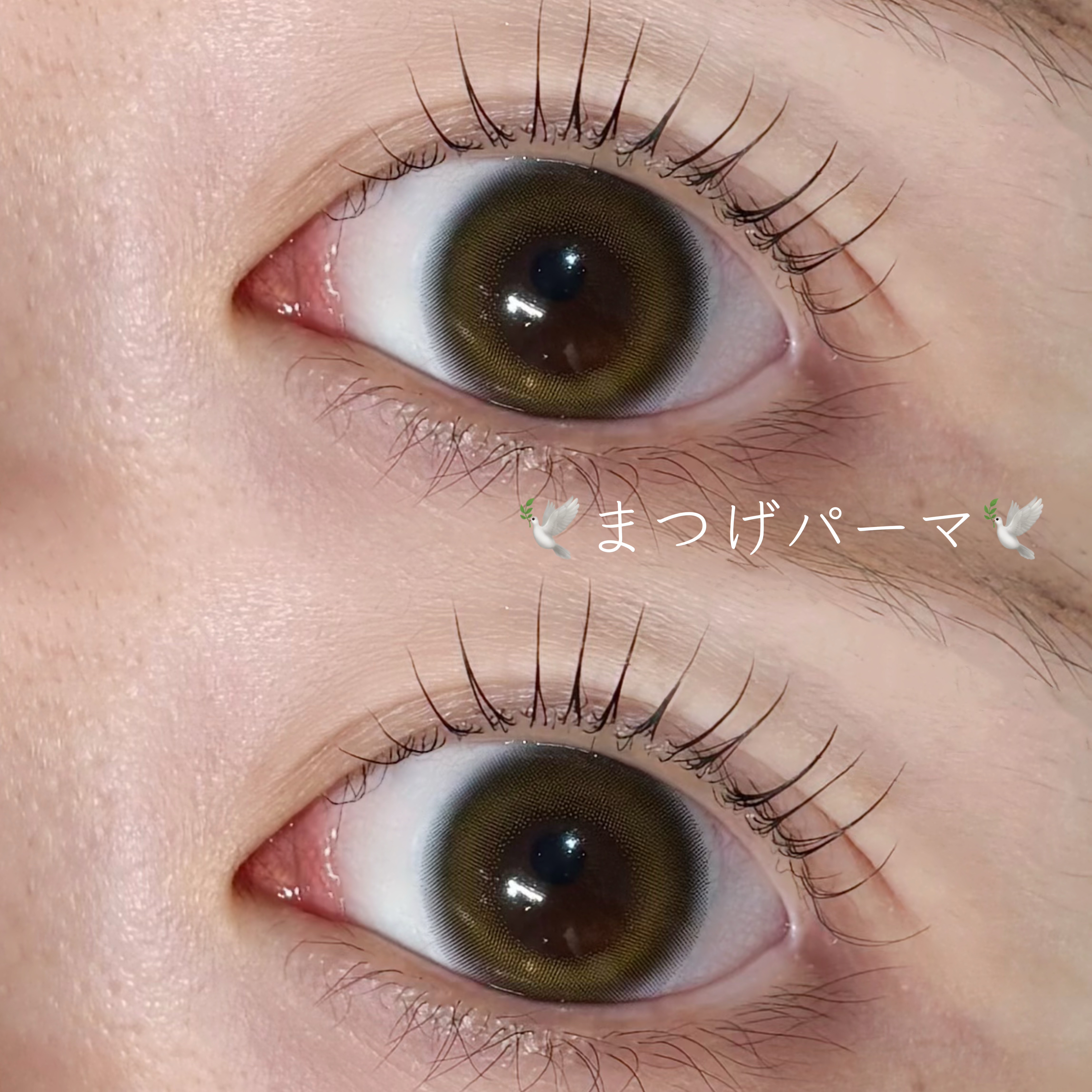 eyeHbe_Maaya