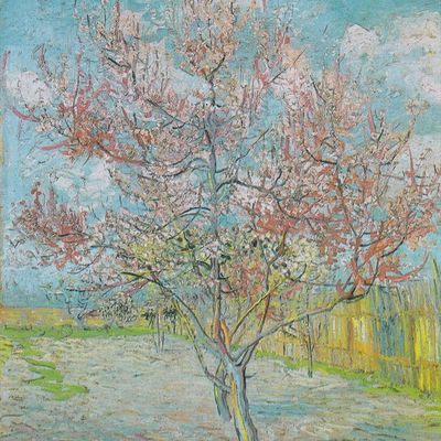 【ご新規様】平日限定🌷移転記念クーポン