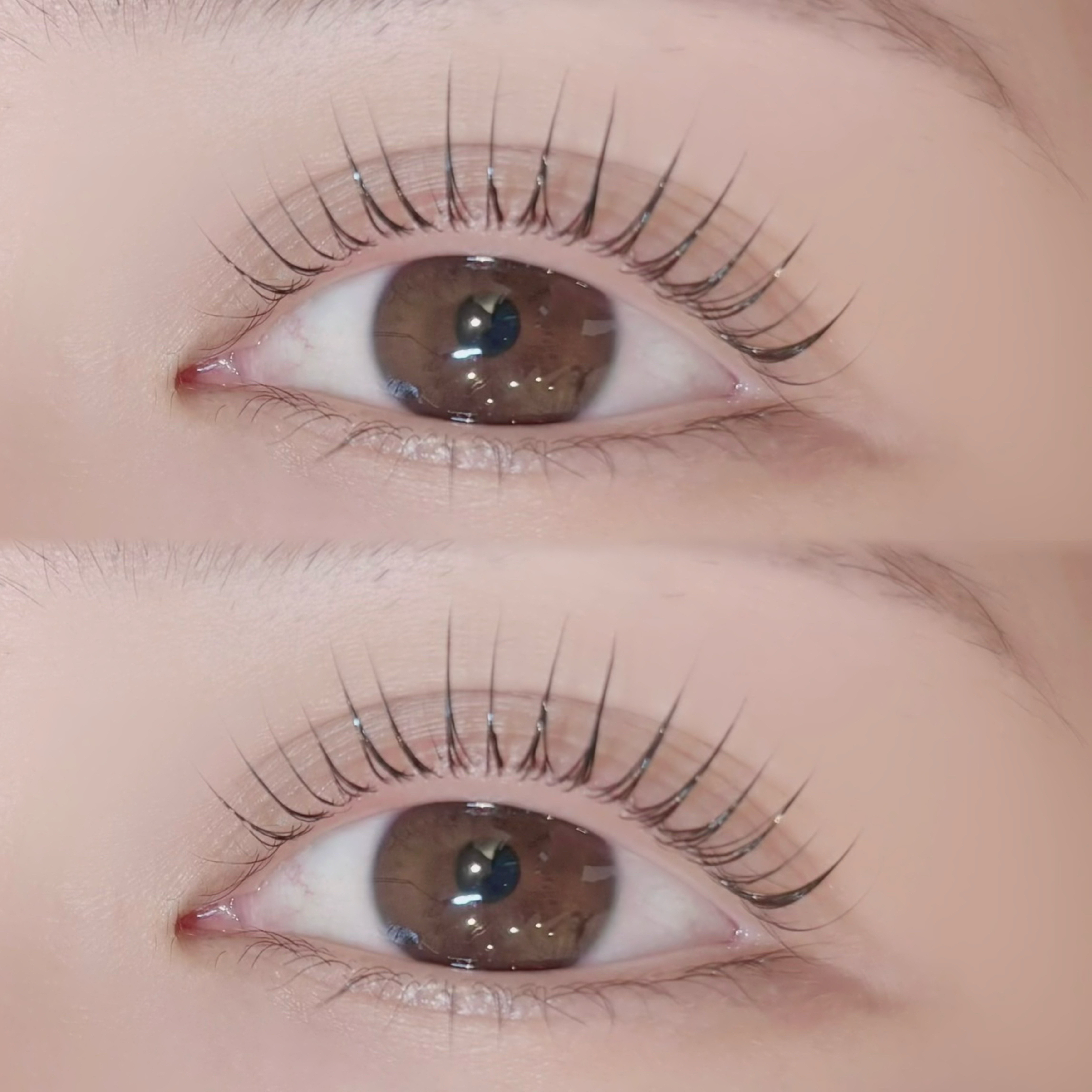 BUCKS_eye