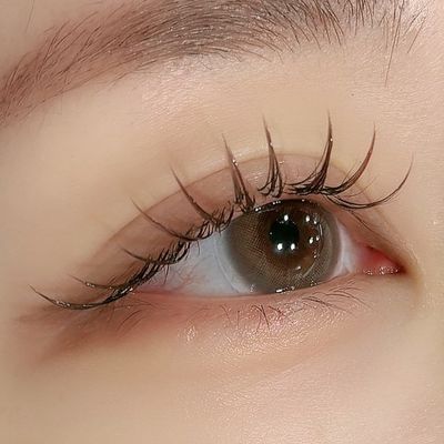 ブラウンフラットラッシュ120本