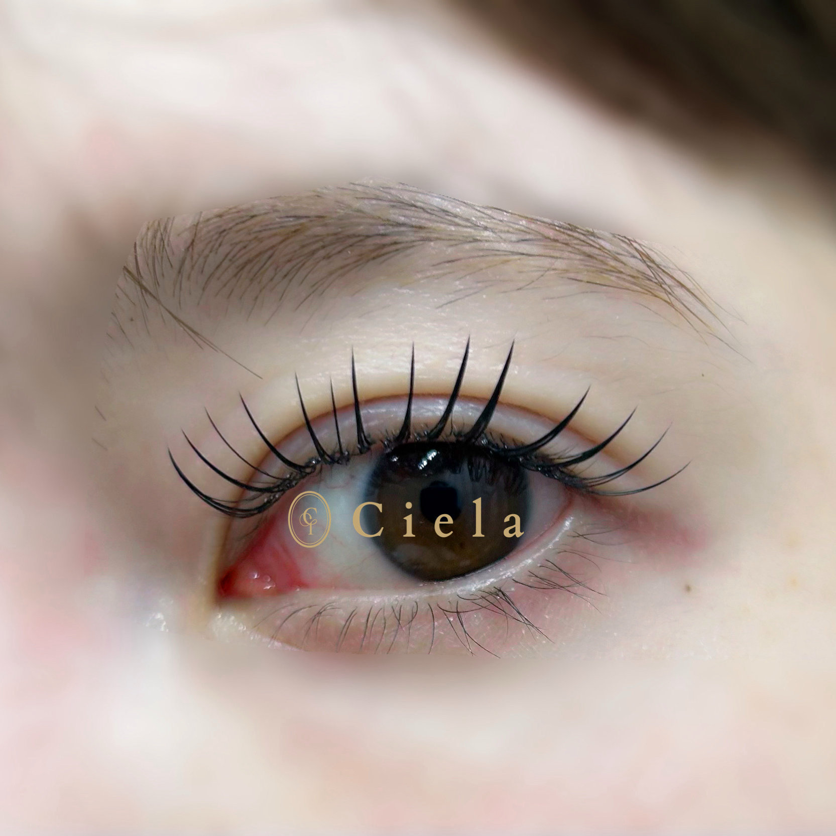 ciela_eyelash