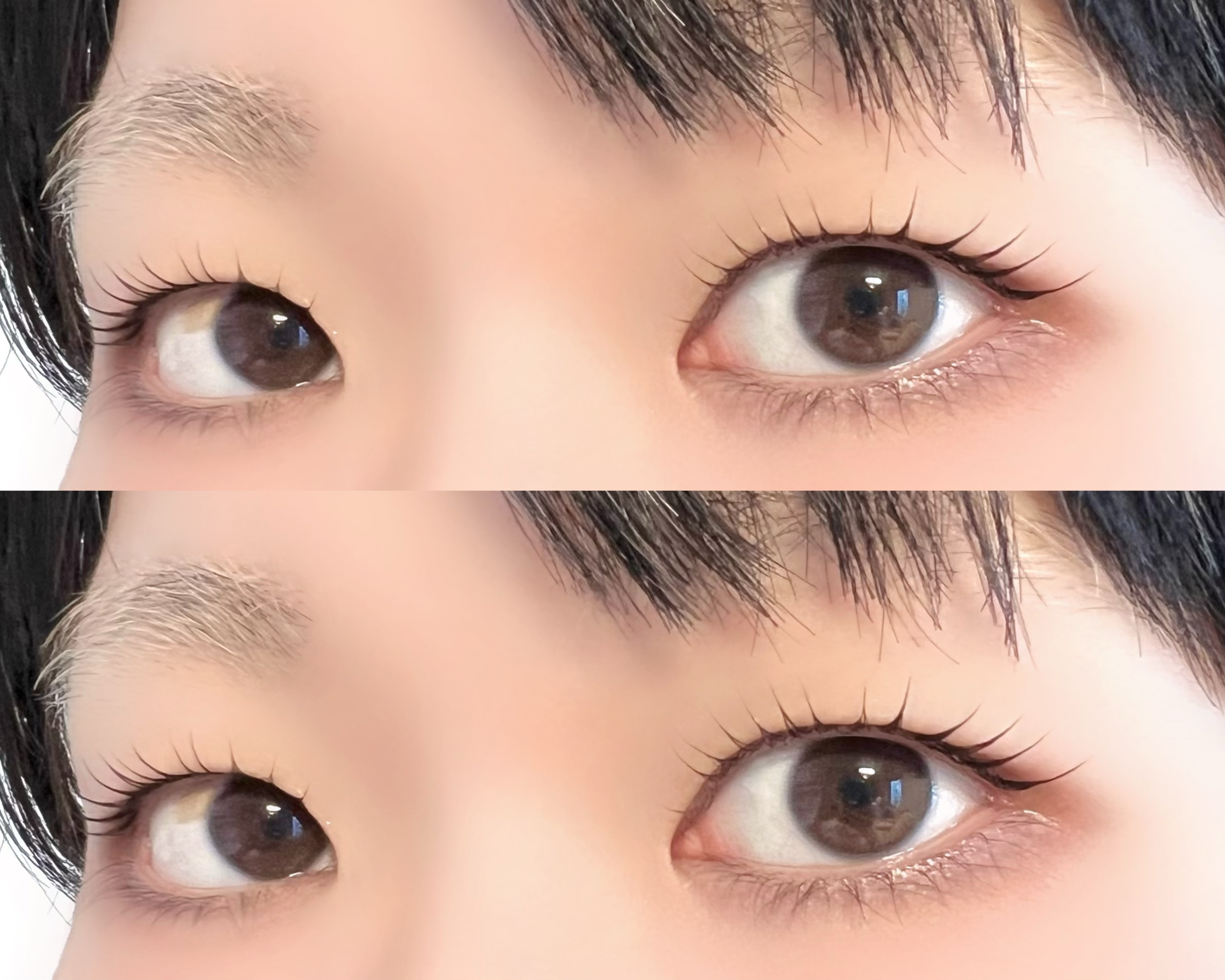 shiori.__.e