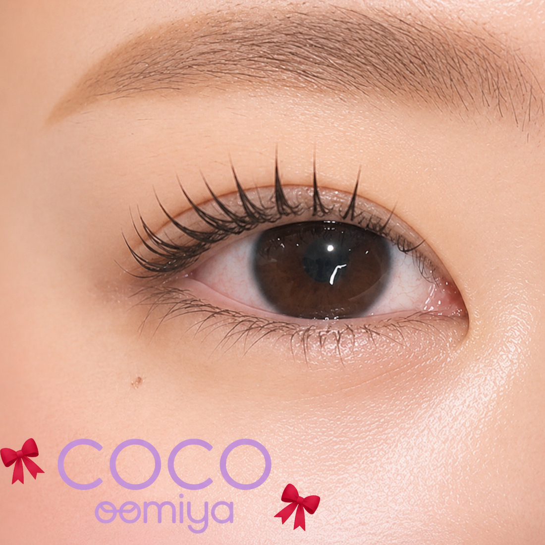coco_shizuku