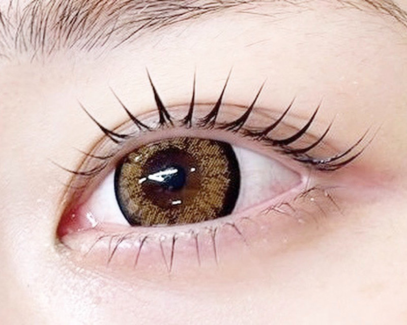 88eyelash