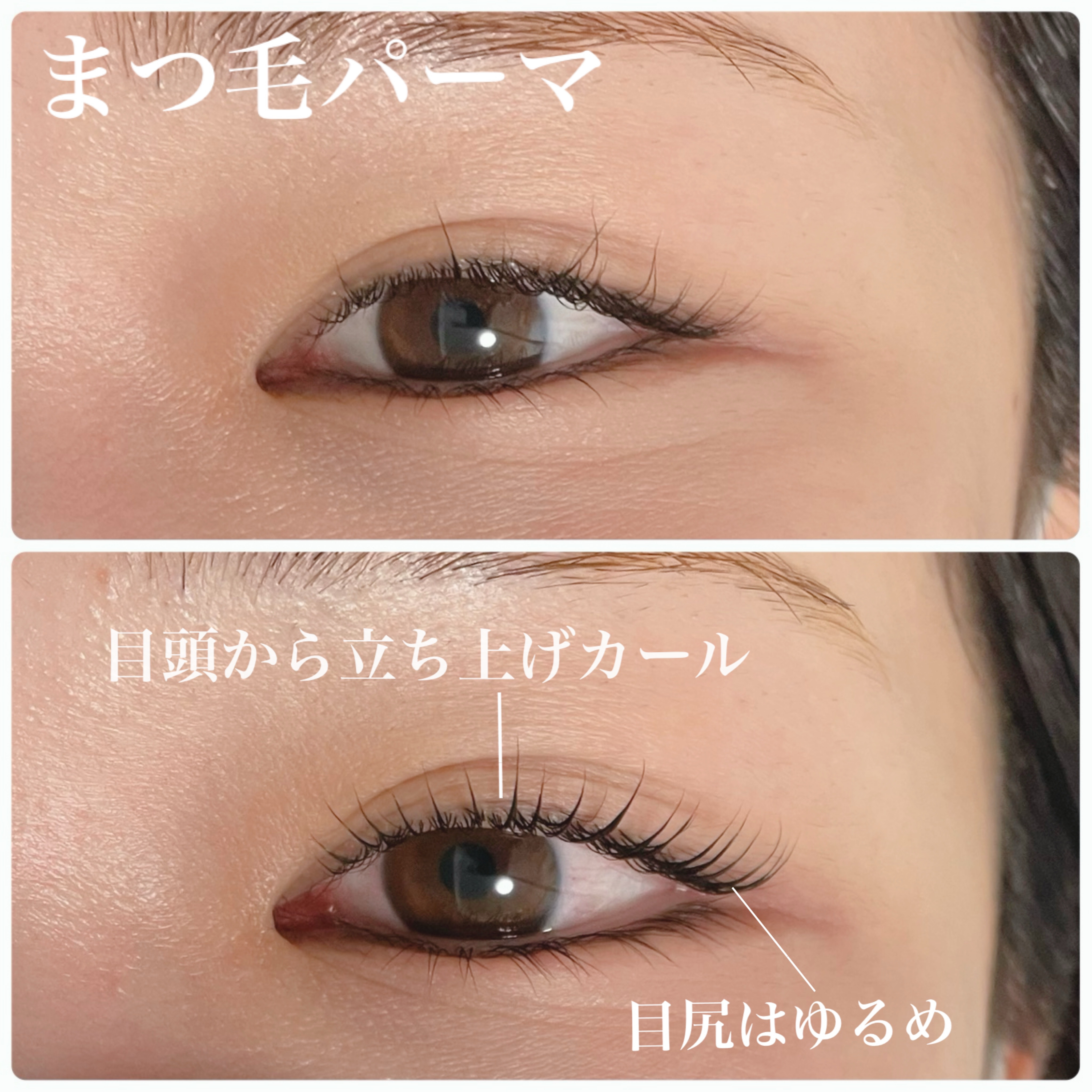 LINO_eyelash.