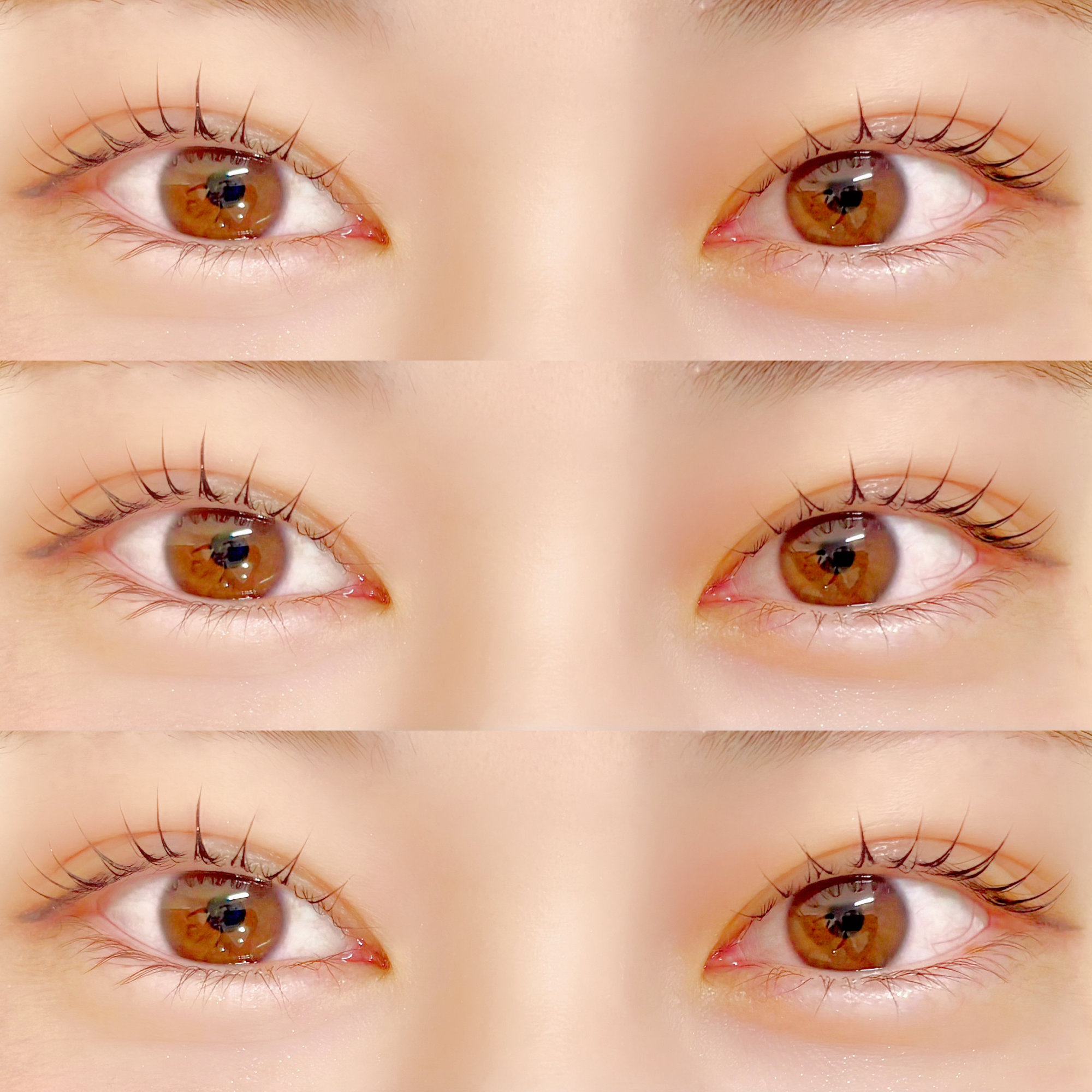 hikari_trueye