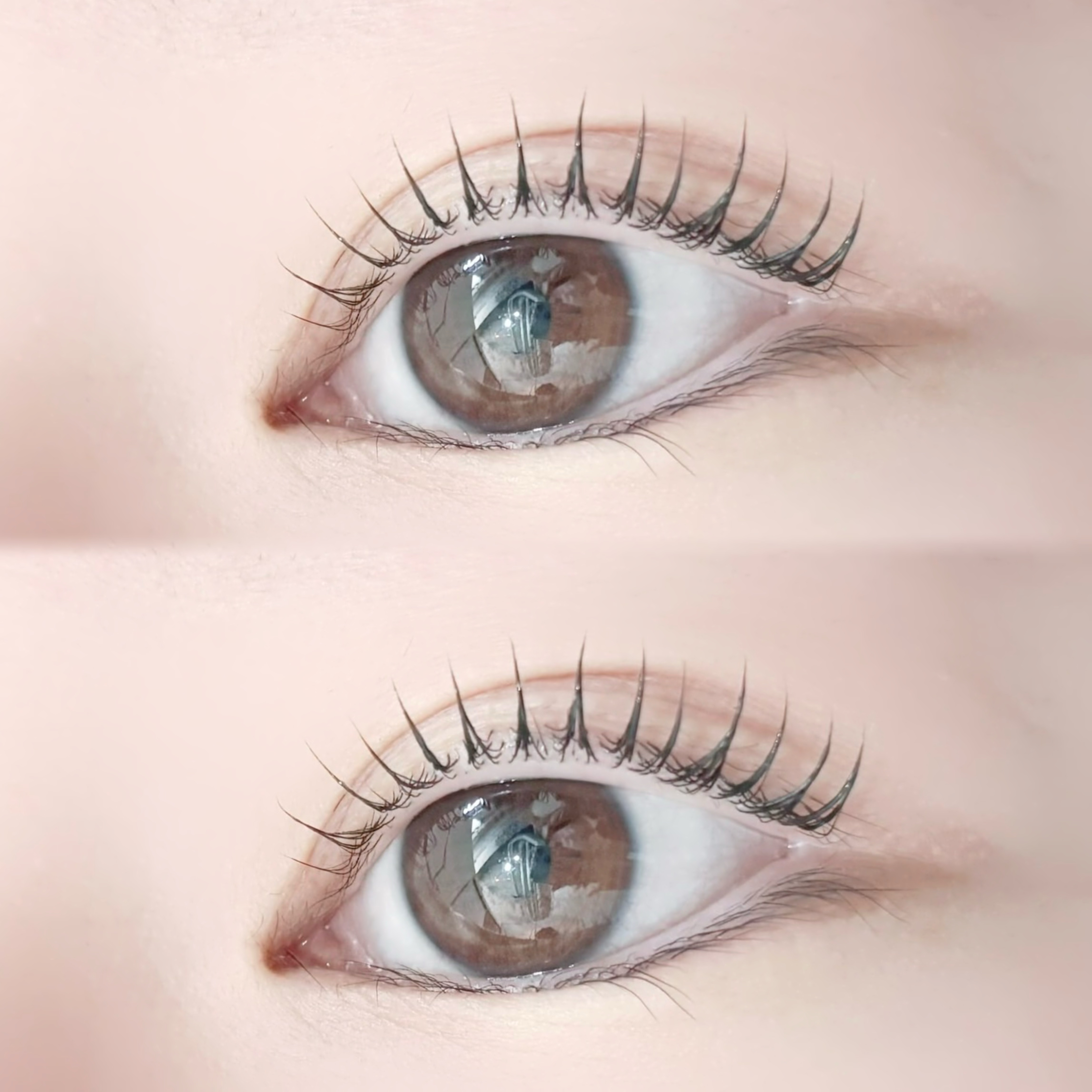 BUCKS_eye