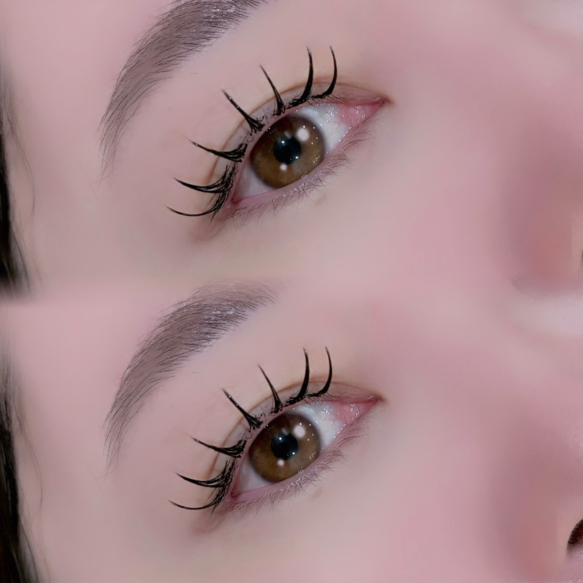 koto_trueye