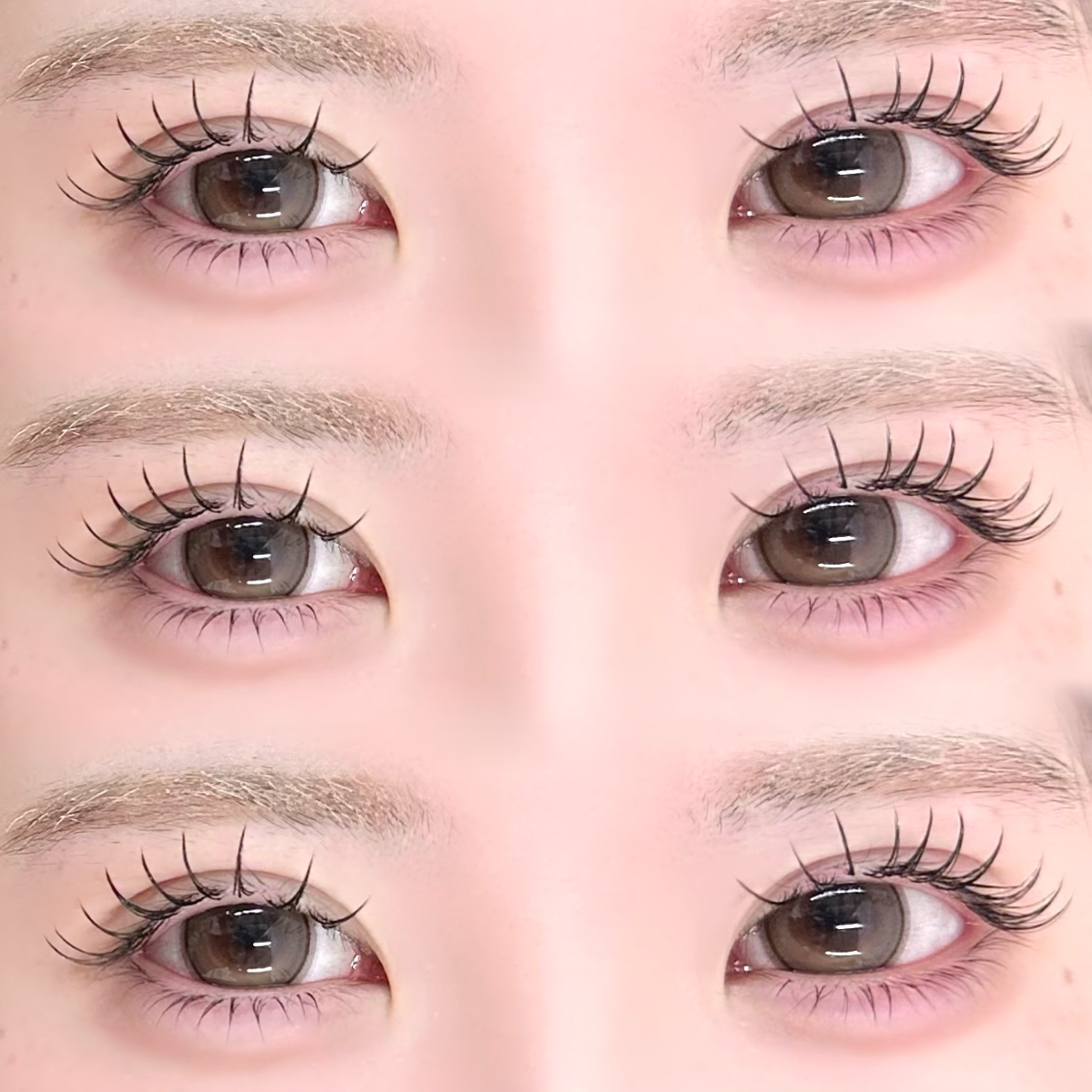 haruu7_daisy