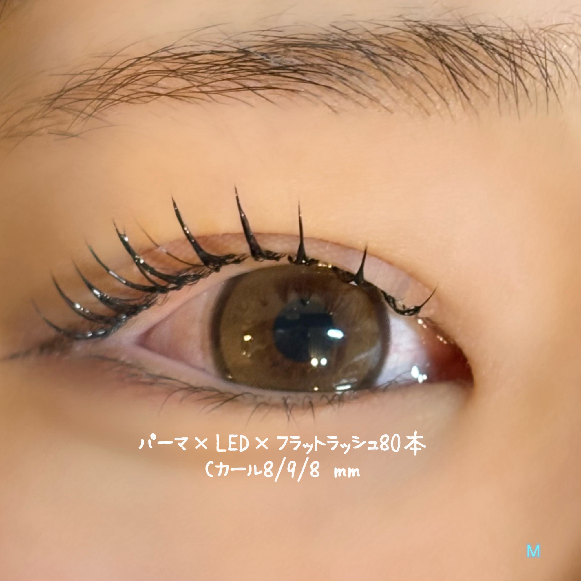 ai__lash__artist
