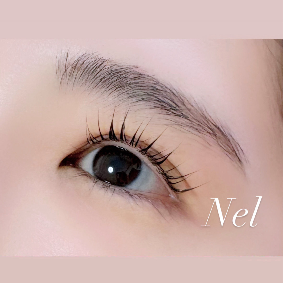 Nel_miwa401