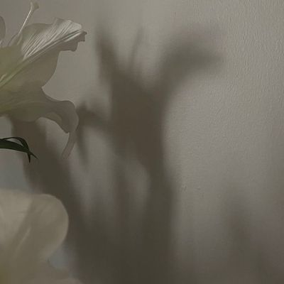お持ち込み10本アート