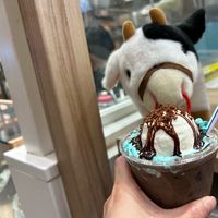 Yu.0302