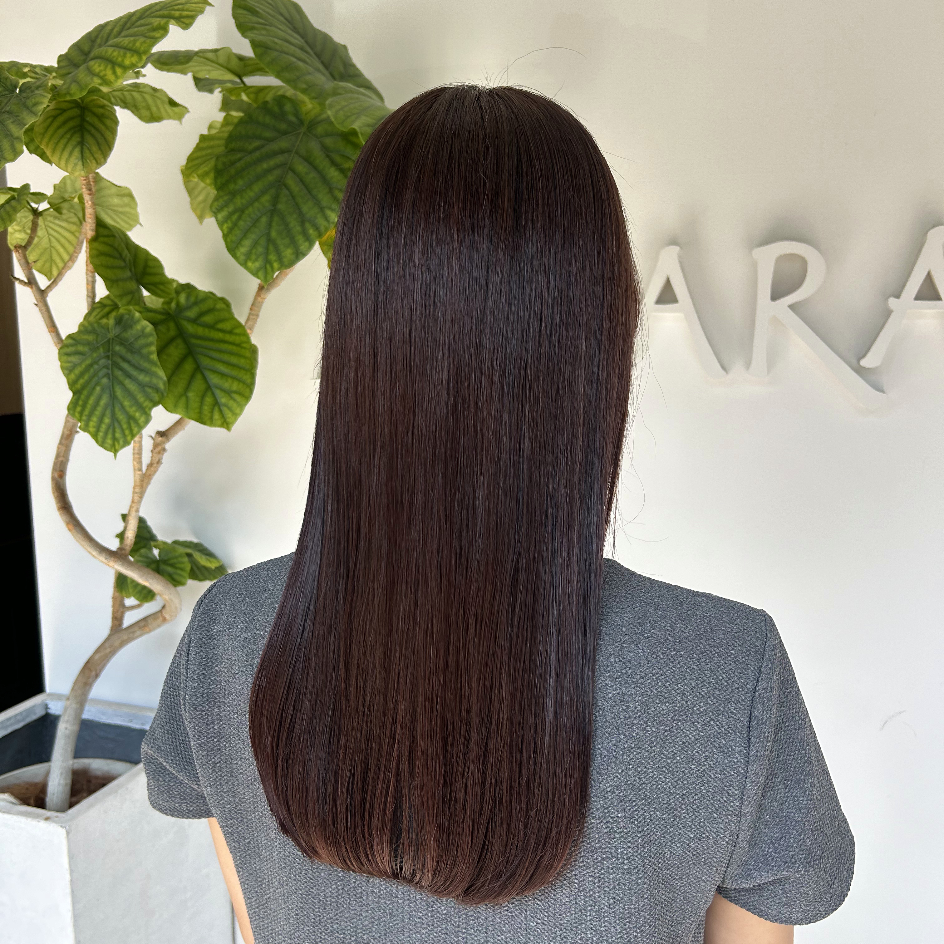 smei_hair