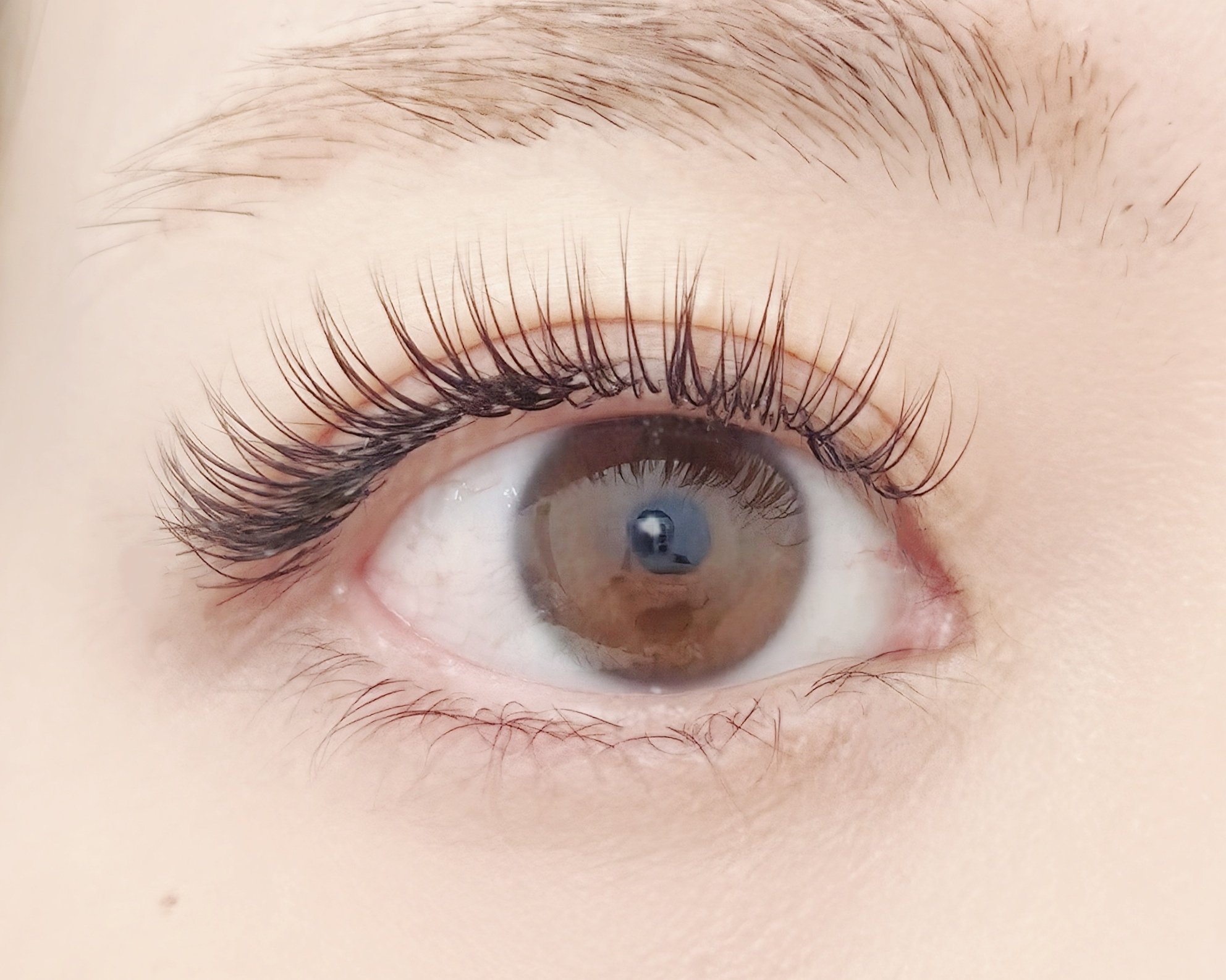 daisy_yurika