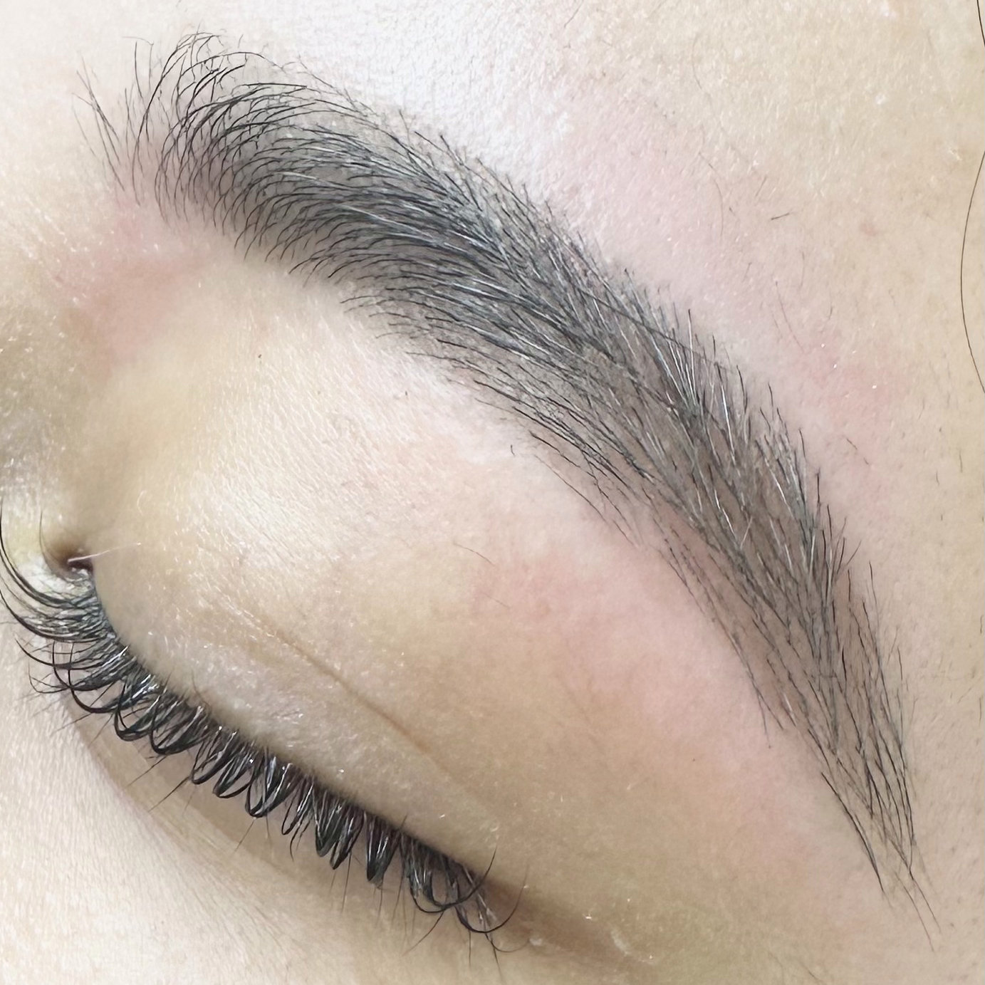 yui.y_trueye