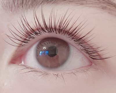 【平日10-16時限定★時短】💎フラットラッシュorセーブルつけ放題60分✨オフ