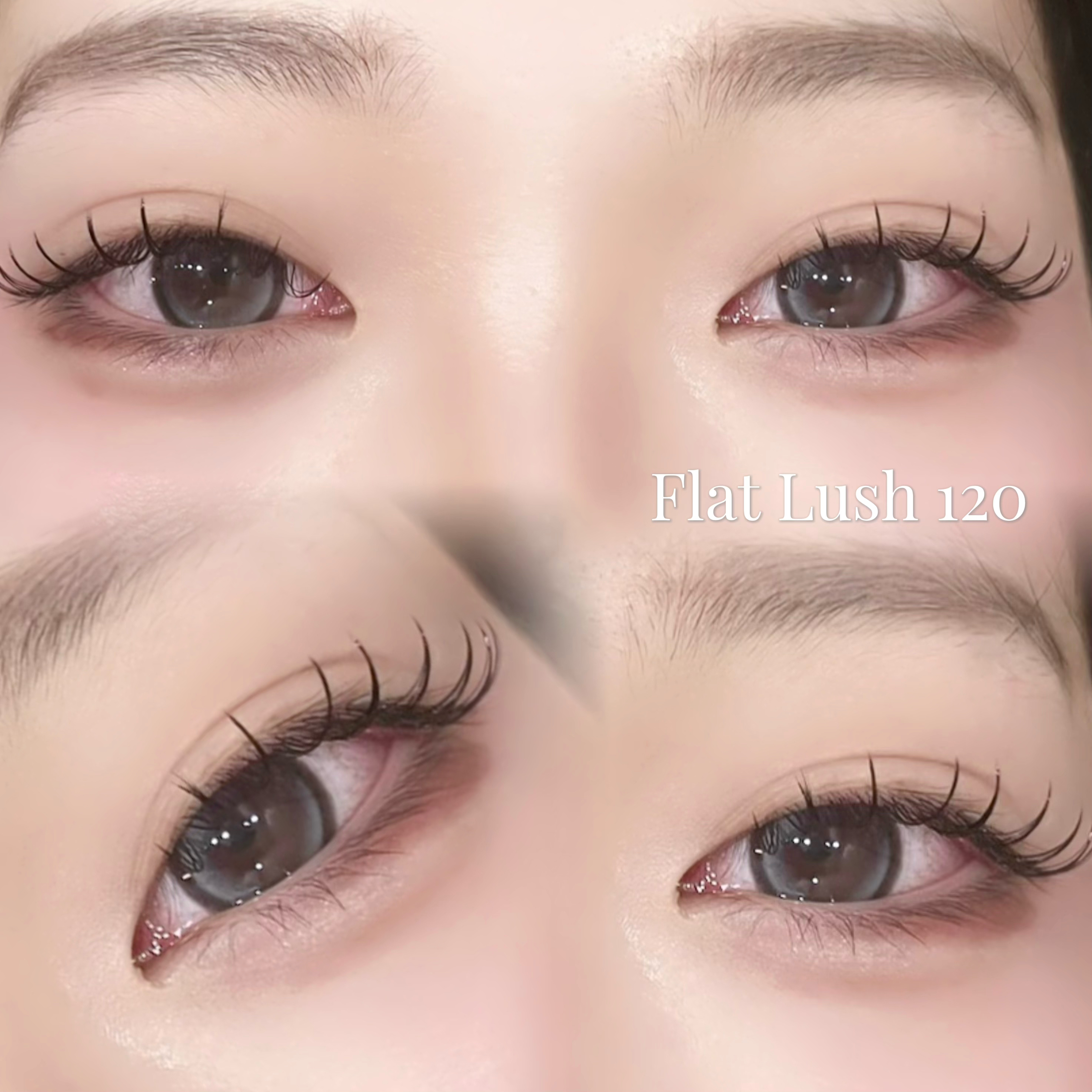 Olivia__sakamoto