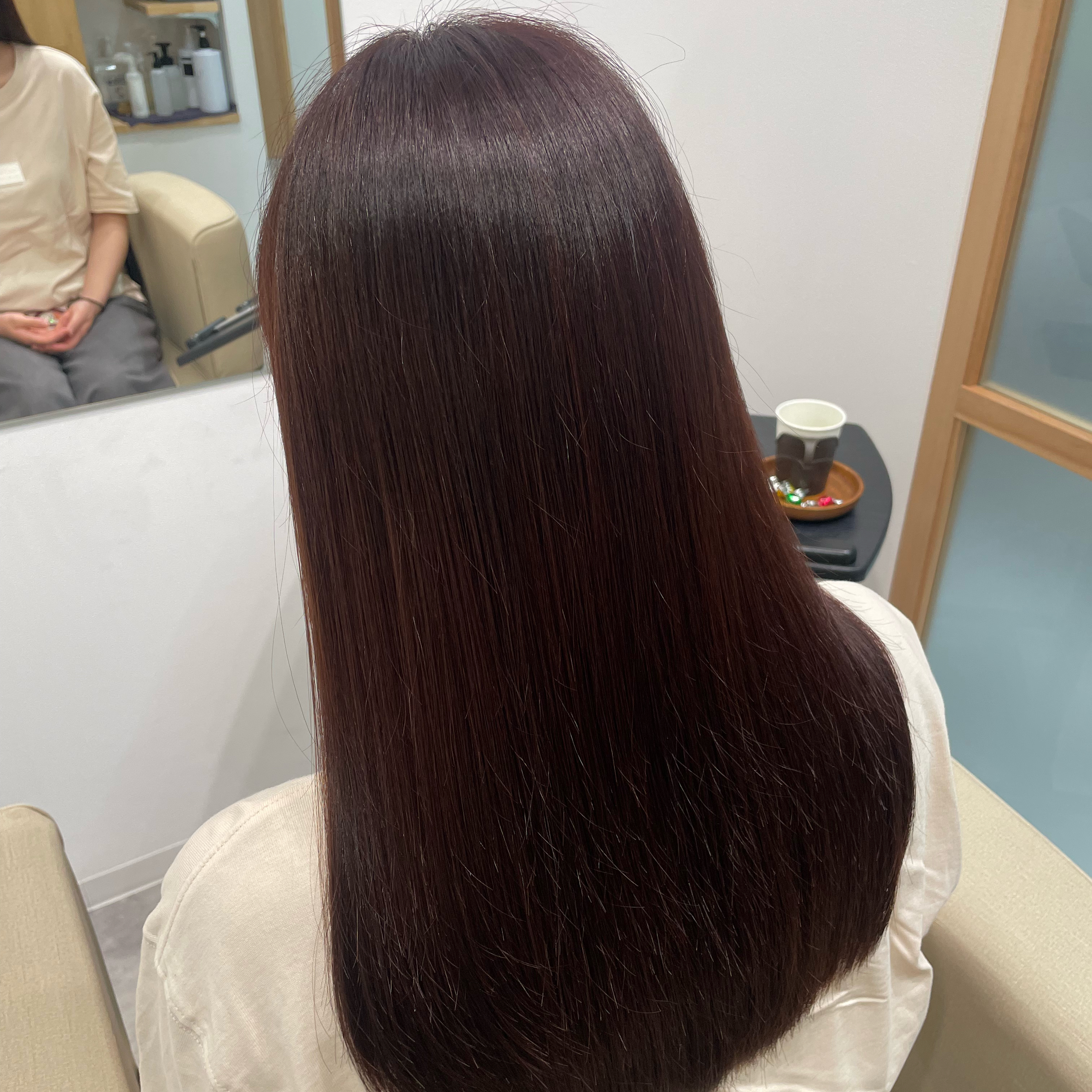 aster_yuka