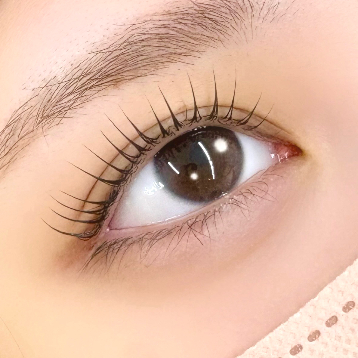 fuka_trueye
