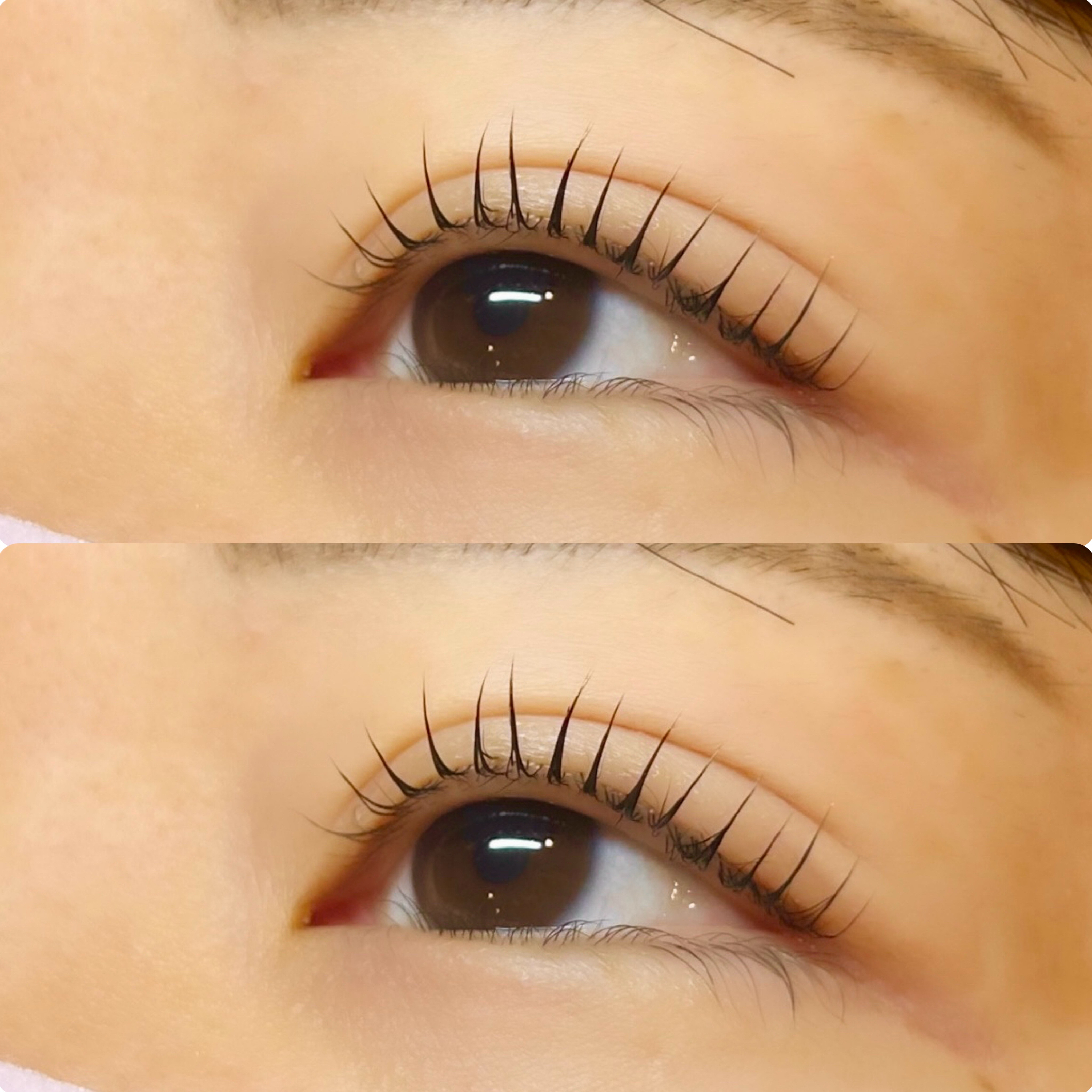 mutsuki_trueye