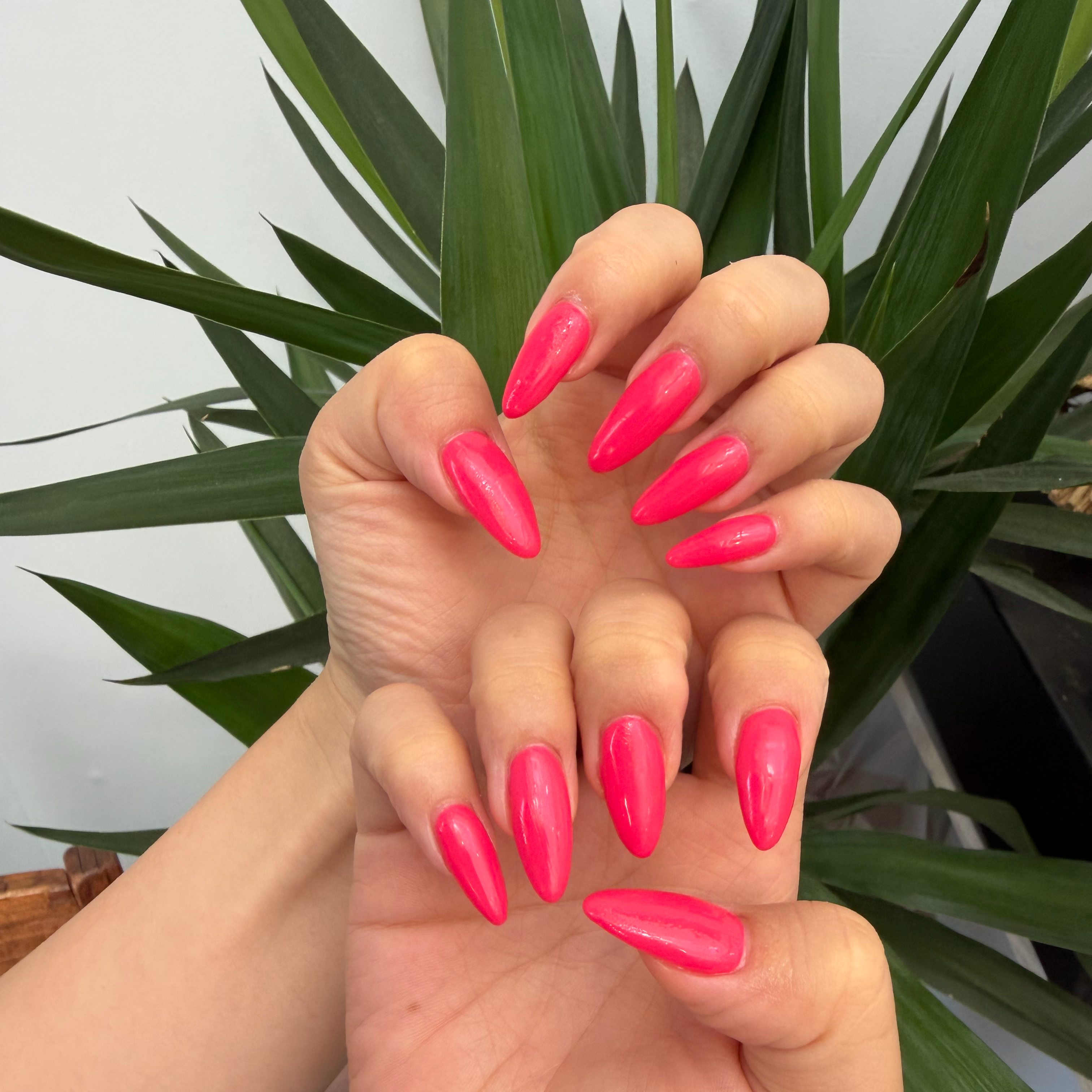 cotto_nail