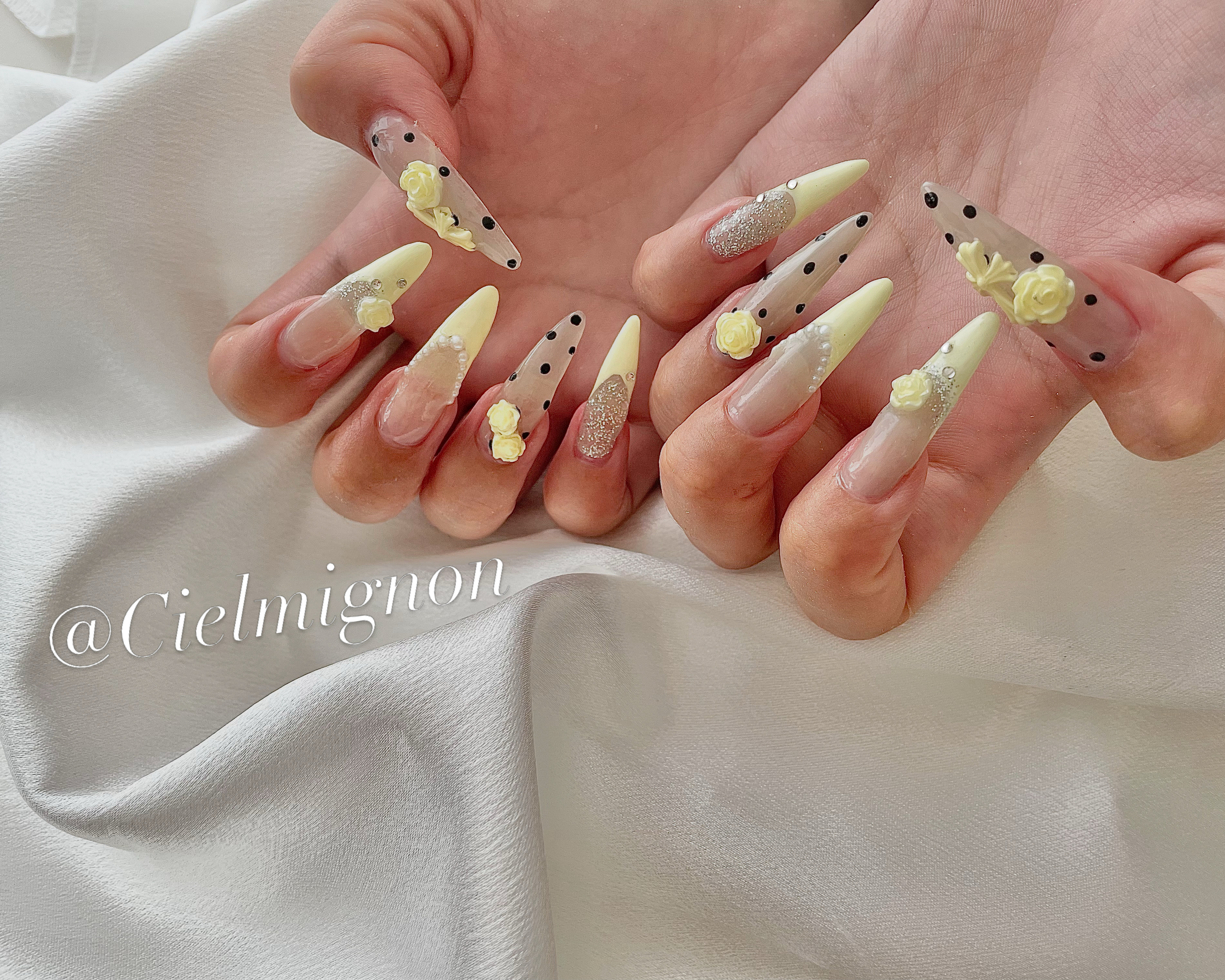 Cielmignon