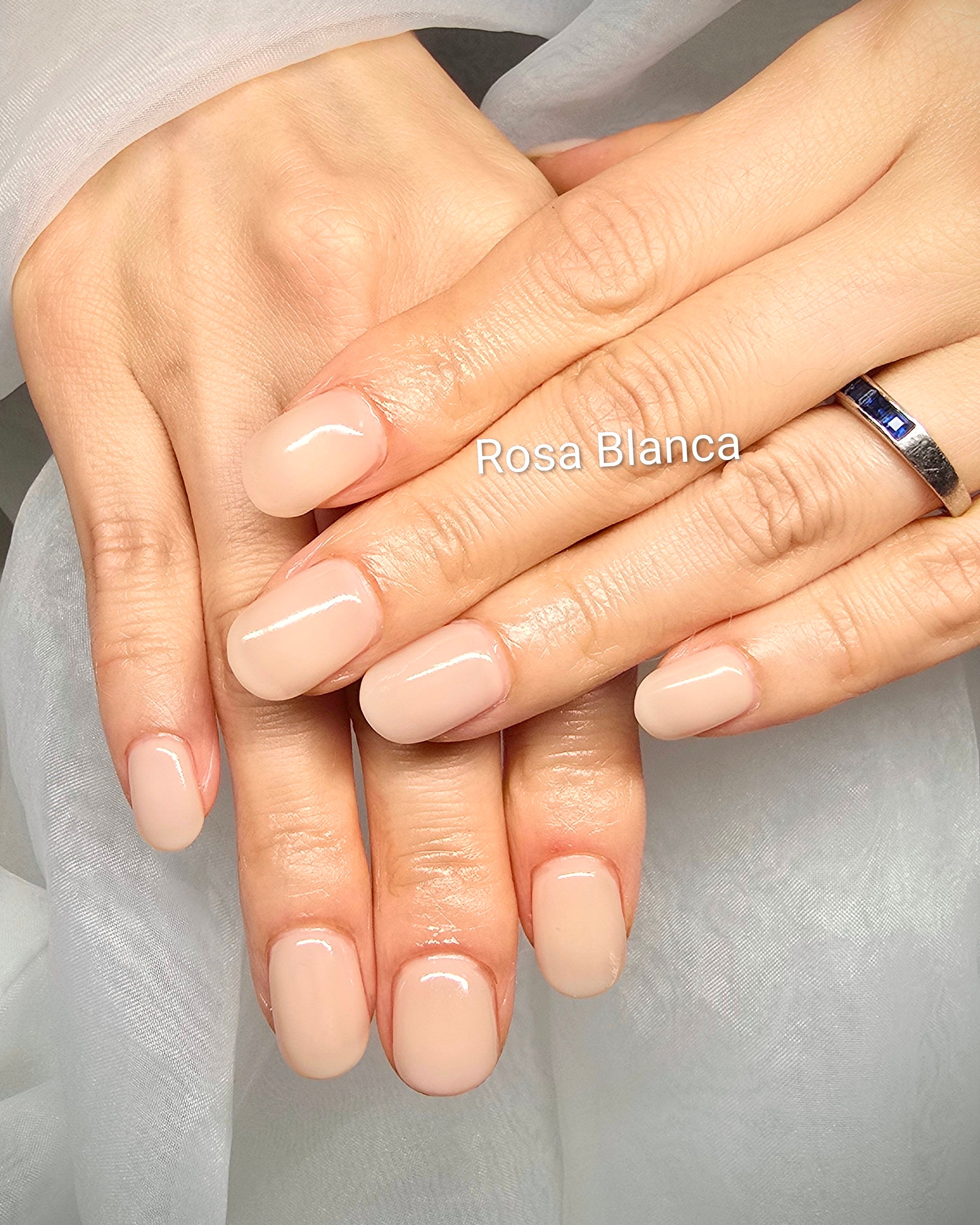 Rosa_Blanca
