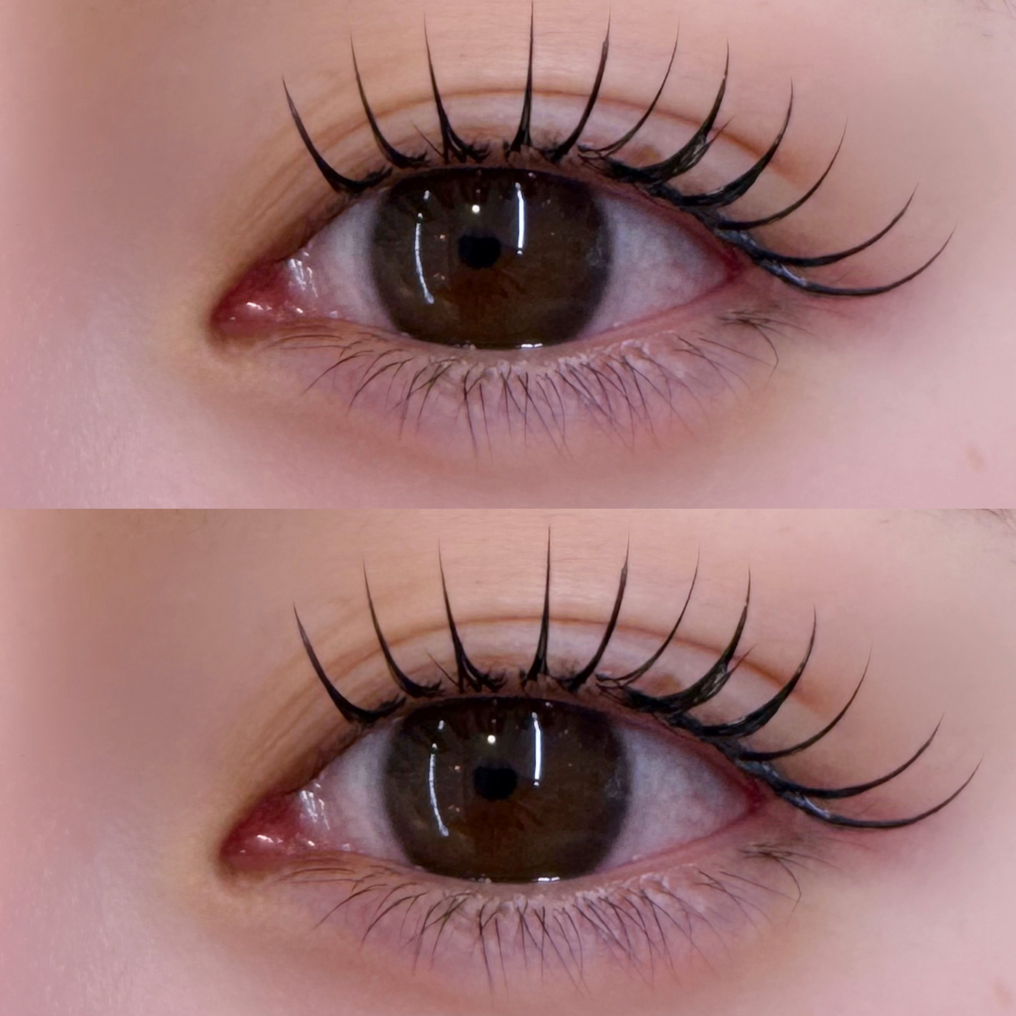 eye_ayame