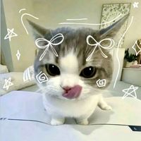 ai003