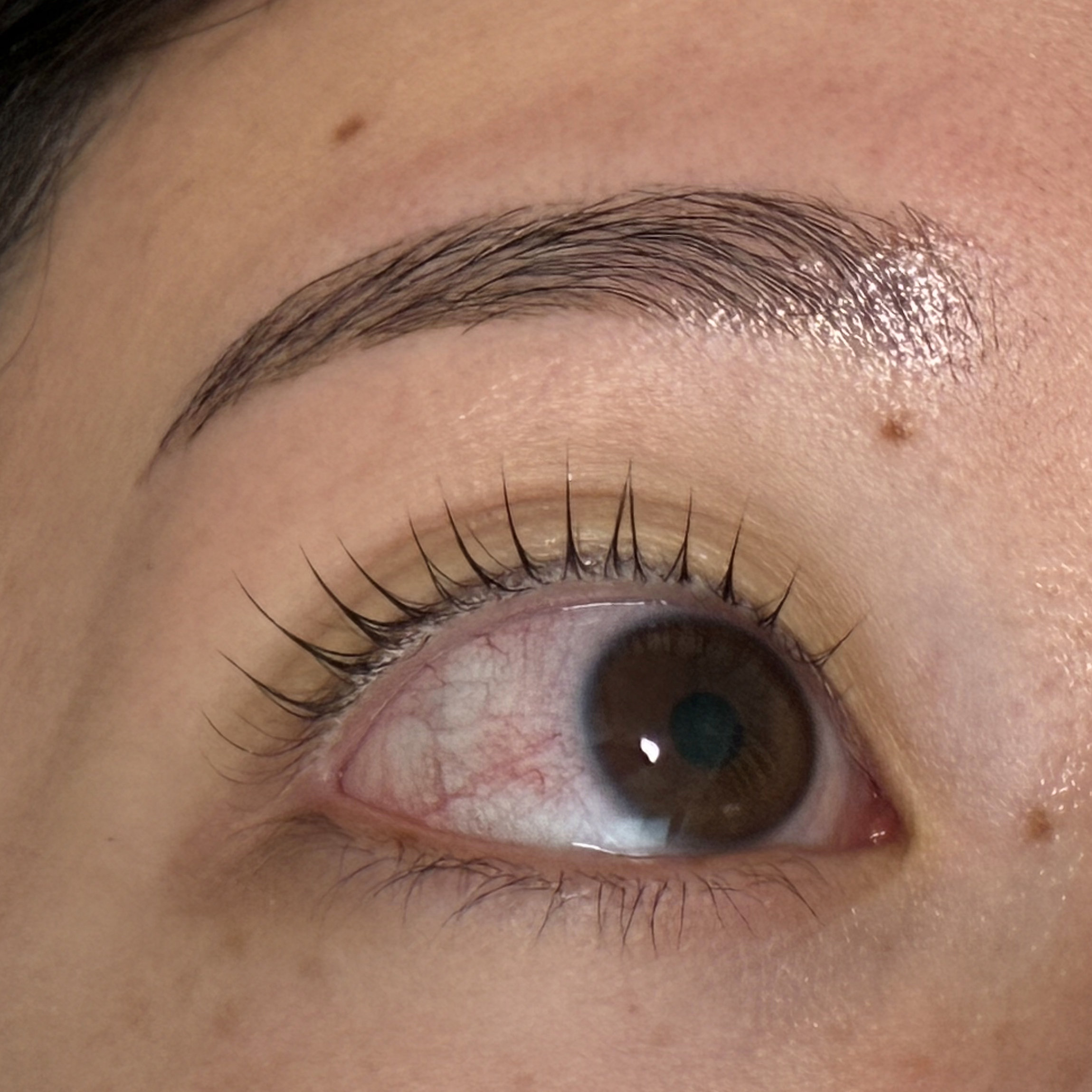 noel_eyelash