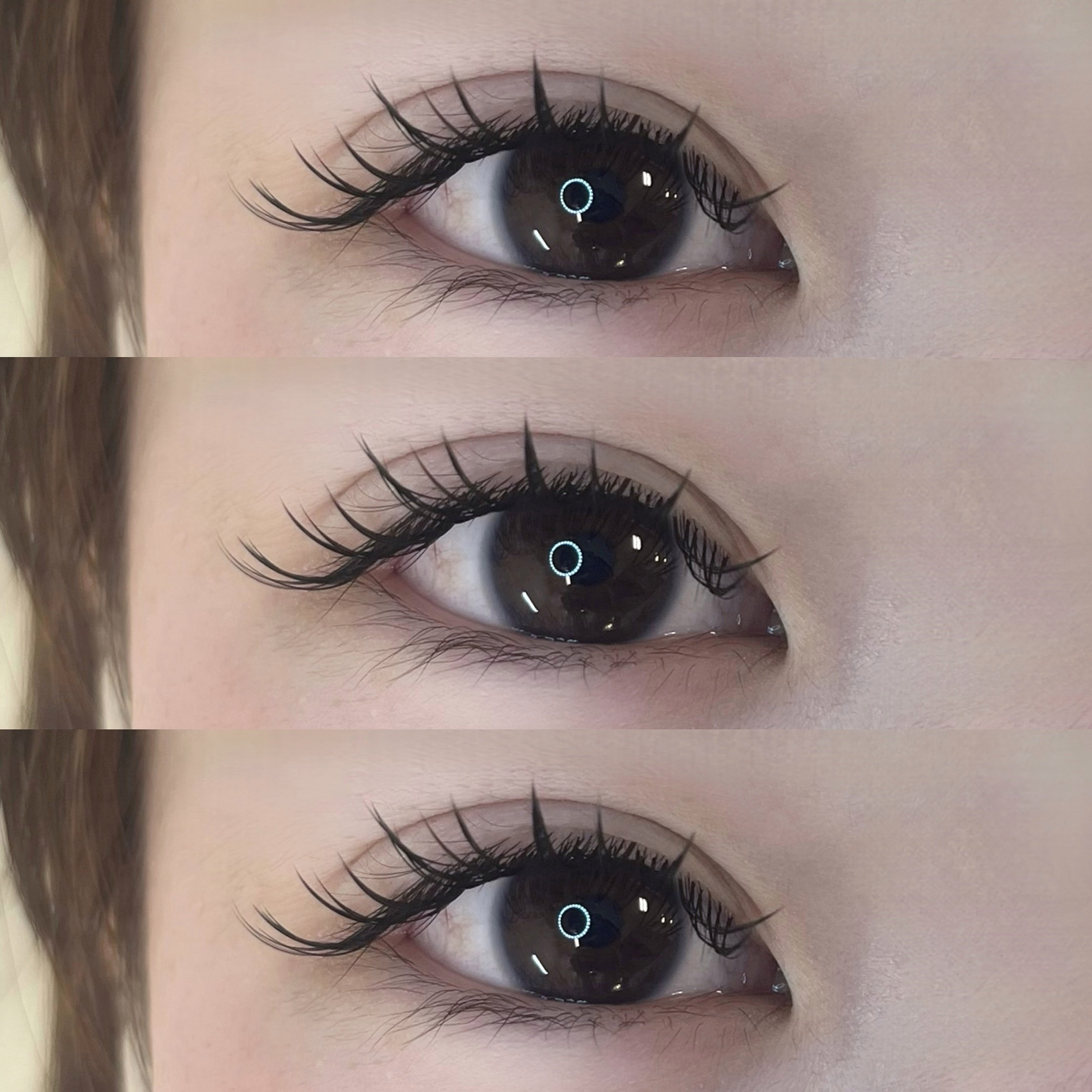 himawari_trueye