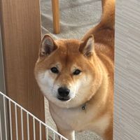 una_waku14