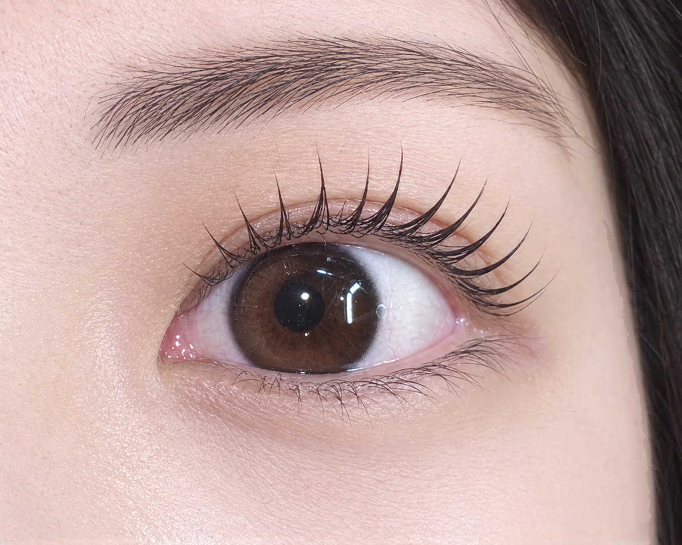 to_me_shizuku