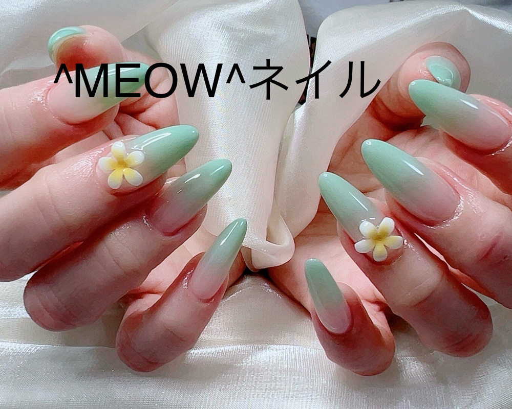 MEOW_salon