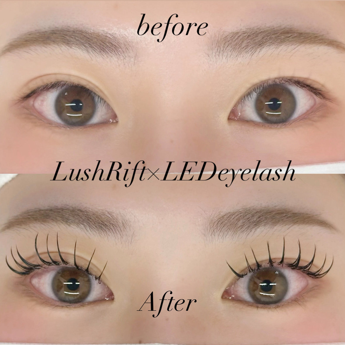 to__mo_eyelist