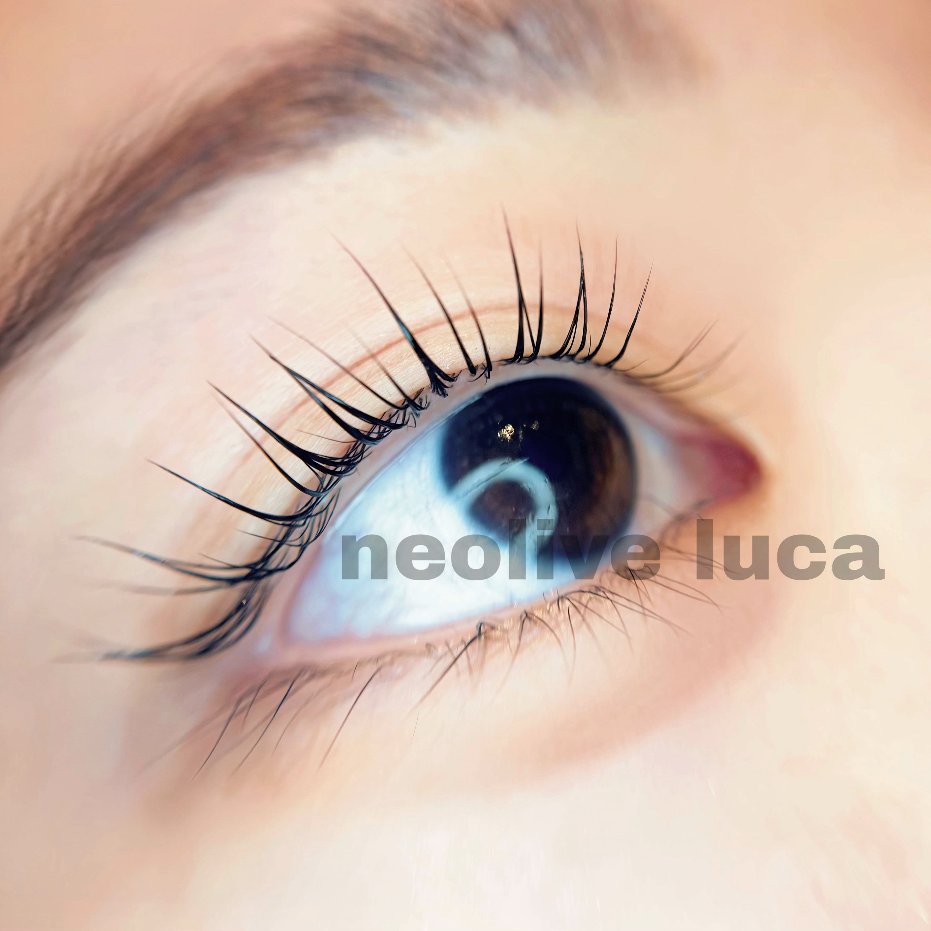 Luca_haruka