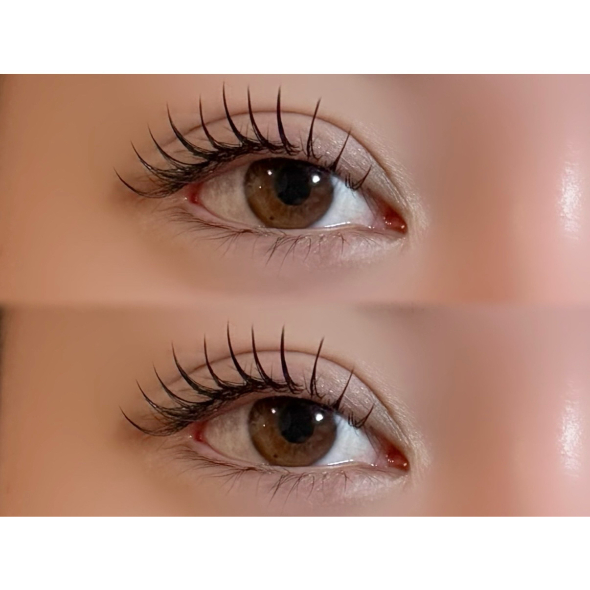 R_LASH