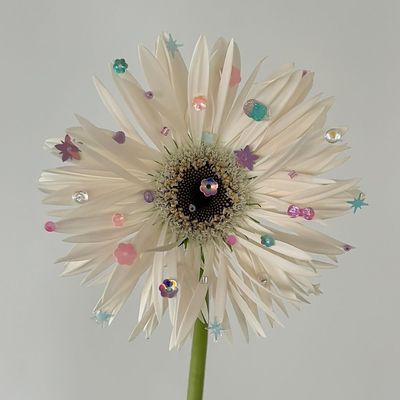 ワンカラー【¥6,000→¥5,500】