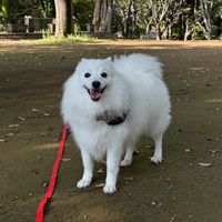 Miya_0513