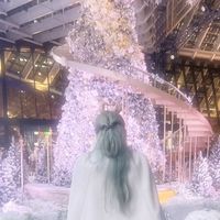 ririna041