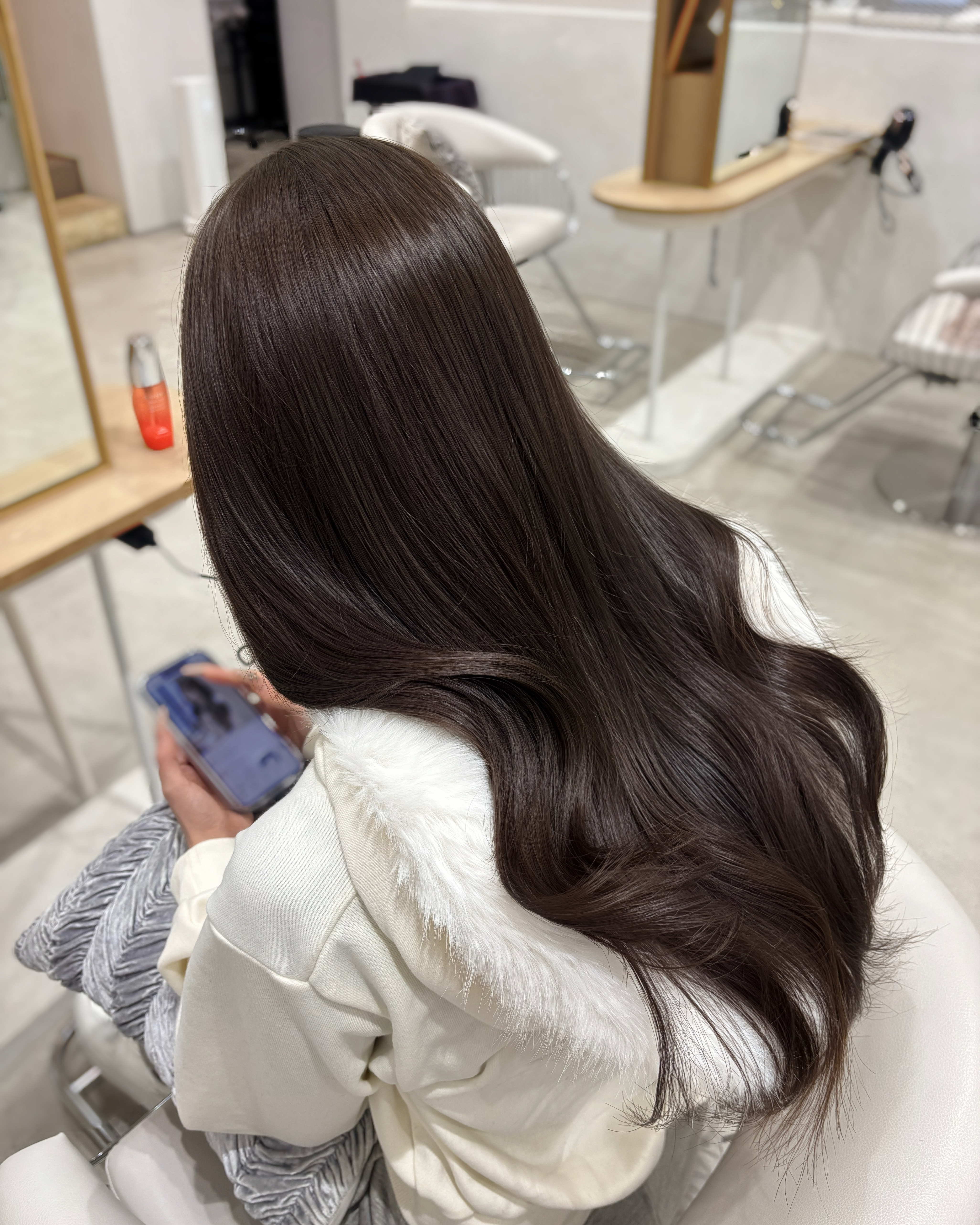 noesikika_sho